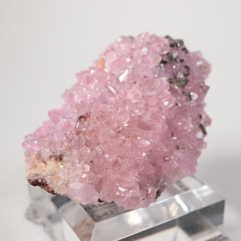 ���󥴻������Х�ȥ��륵����