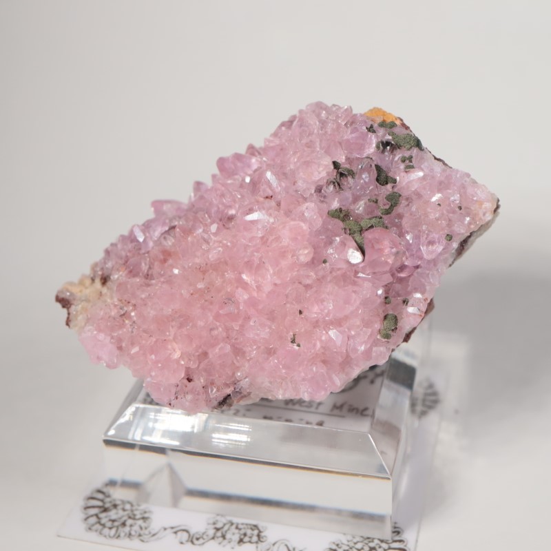 ���󥴻������Х�ȥ��륵����