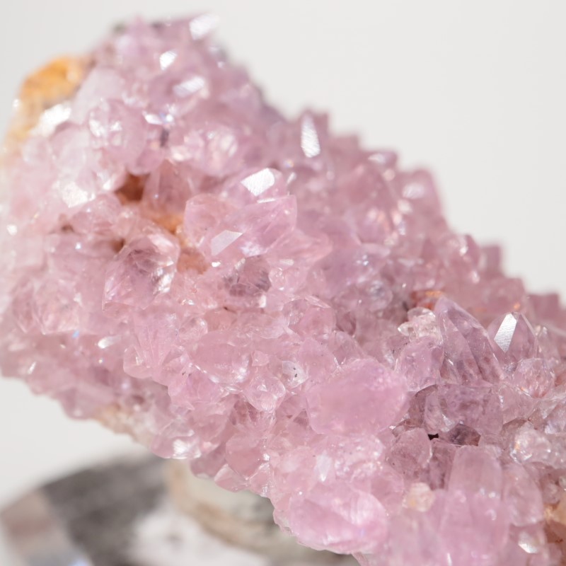 ���󥴻������Х�ȥ��륵����