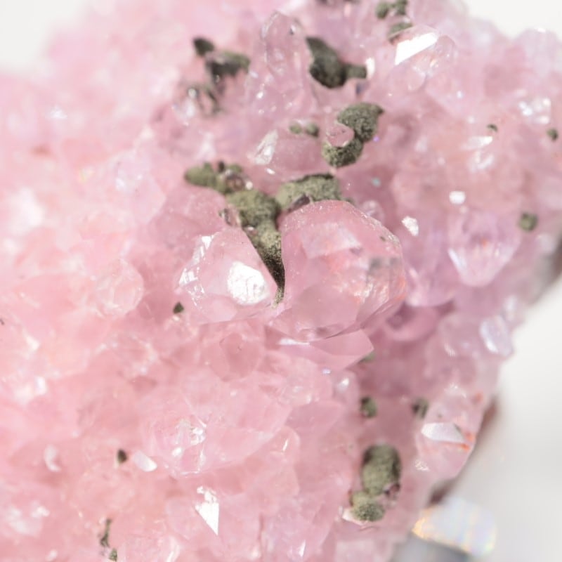 ���󥴻������Х�ȥ��륵����