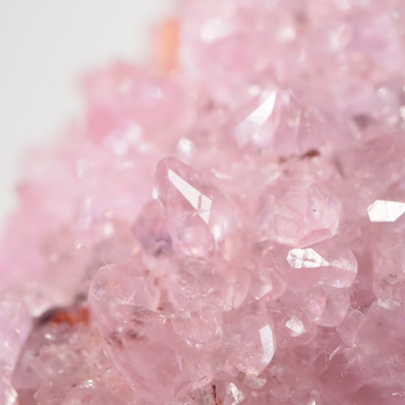 ���󥴻������Х�ȥ��륵����