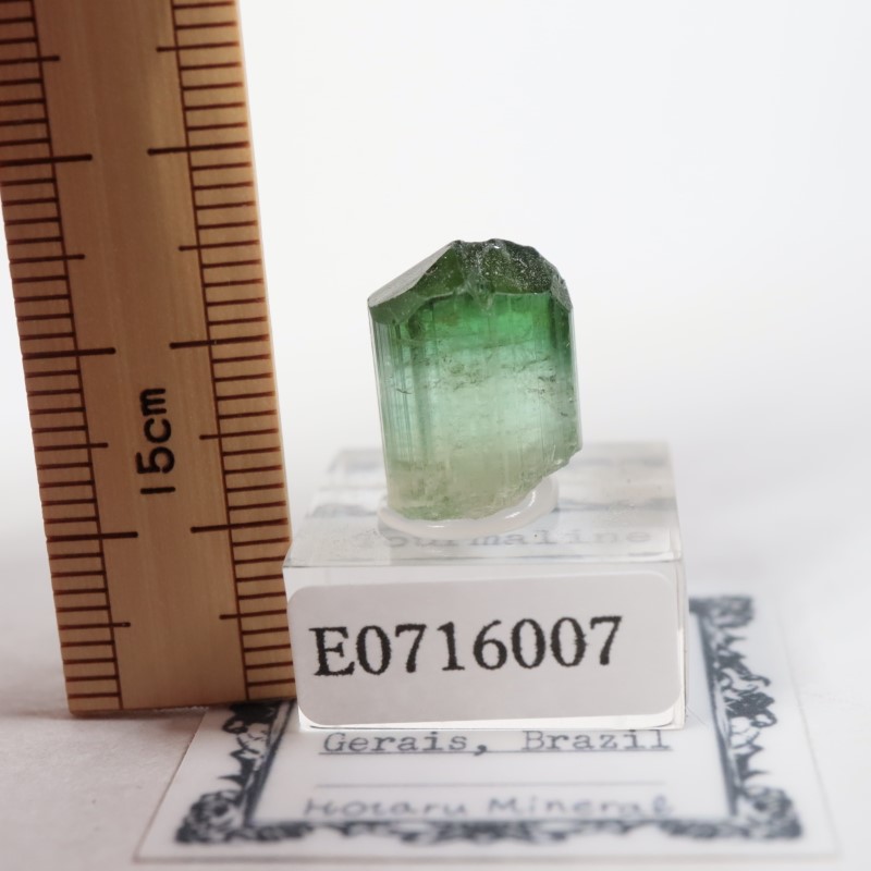 �ߥʥ������饤���� �ȥ�ޥ��