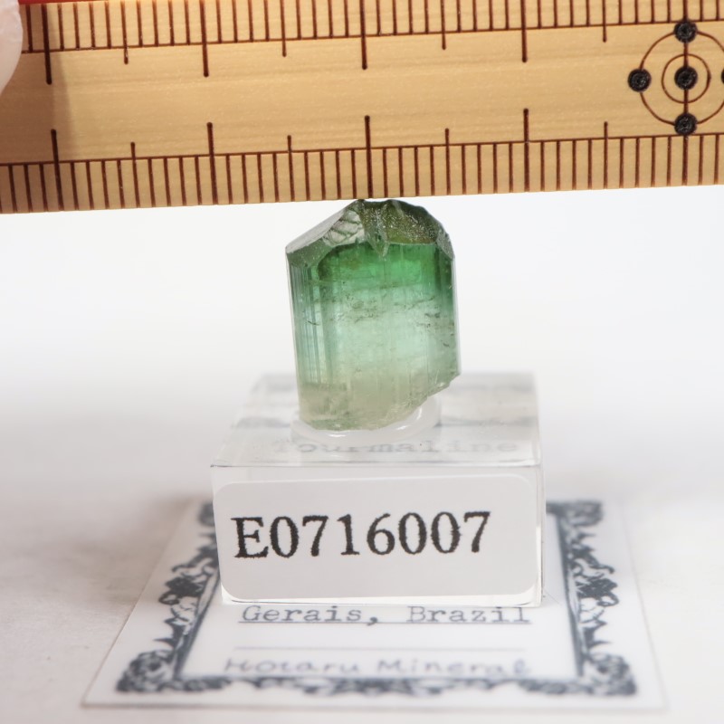 �ߥʥ������饤���� �ȥ�ޥ��