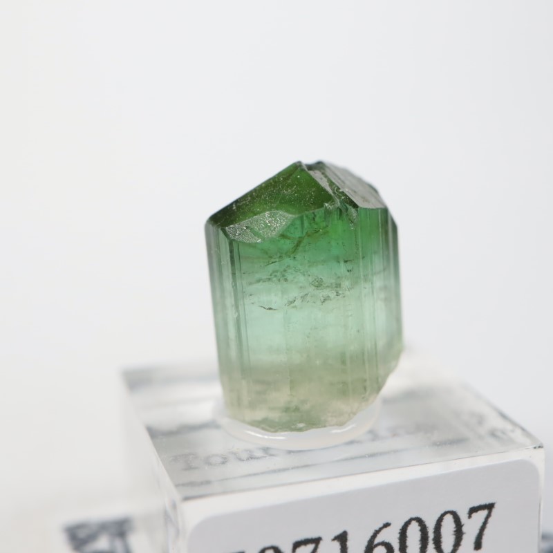 �ߥʥ������饤���� �ȥ�ޥ��