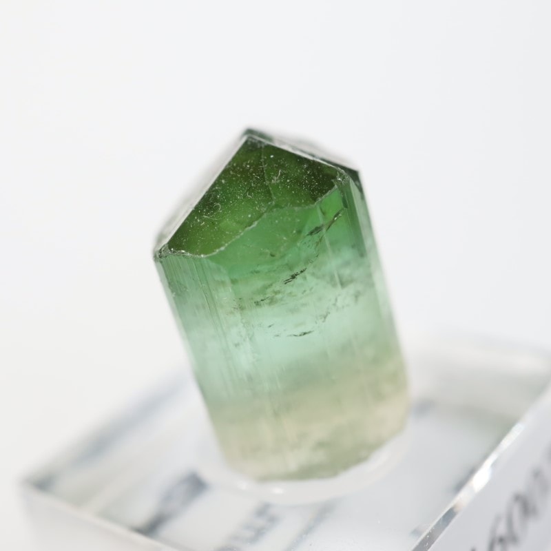 �ߥʥ������饤���� �ȥ�ޥ��