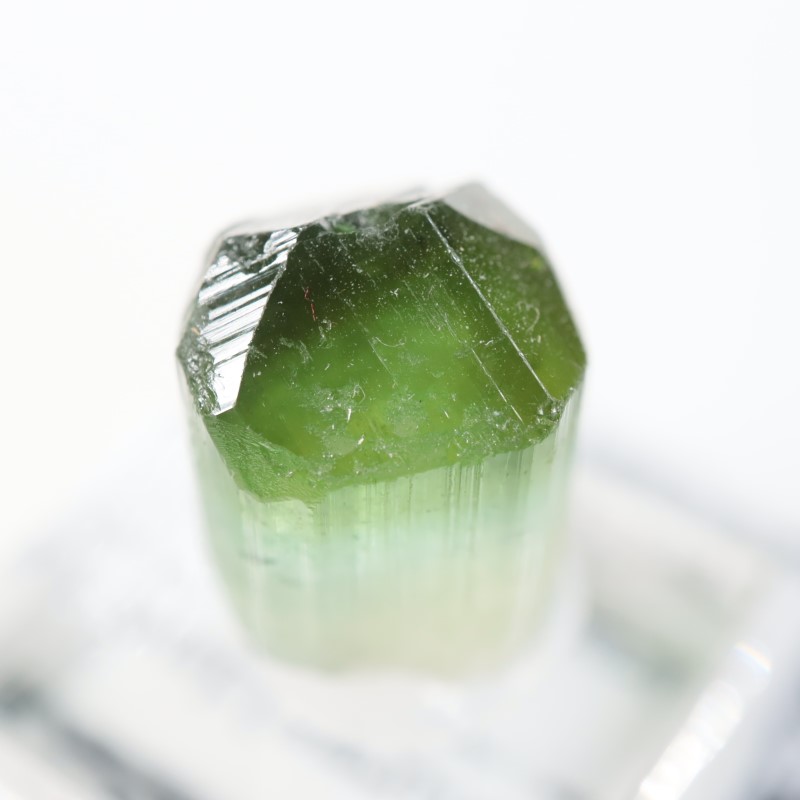 �ߥʥ������饤���� �ȥ�ޥ��