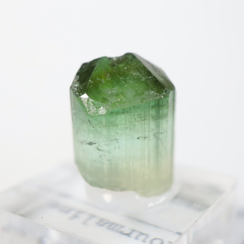 �ߥʥ������饤���� �ȥ�ޥ��