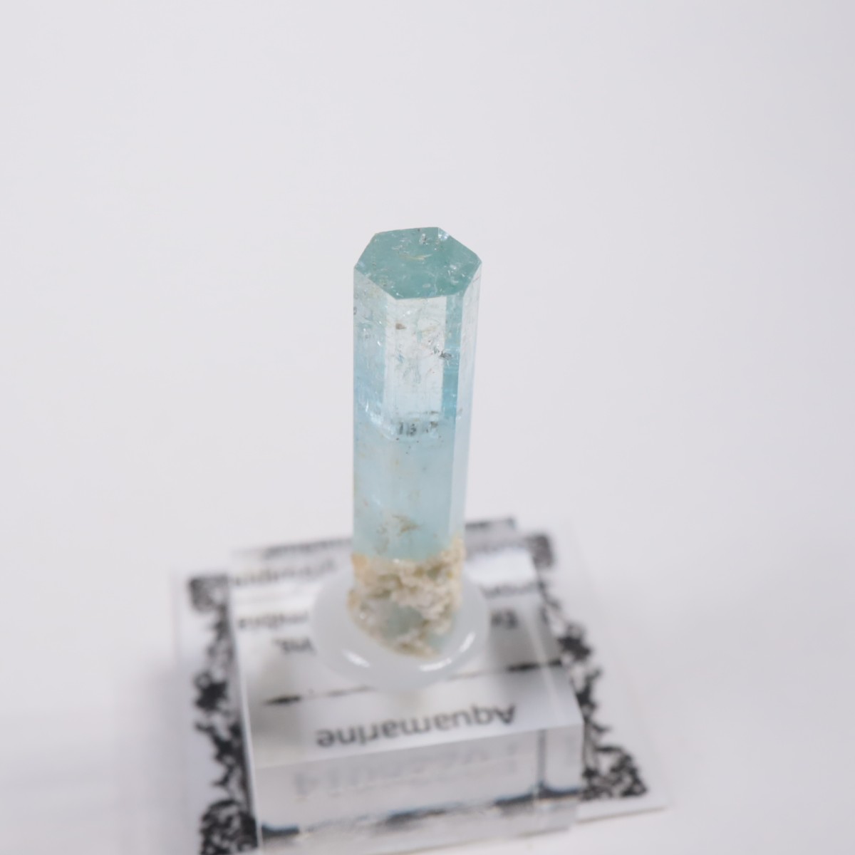 �����󥴹ۻ� �������ޥ��