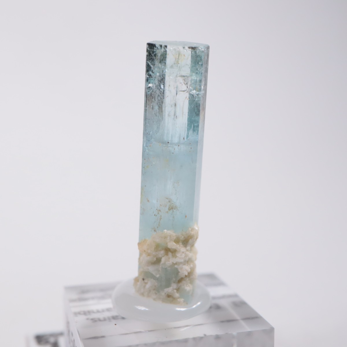 �����󥴹ۻ� �������ޥ��