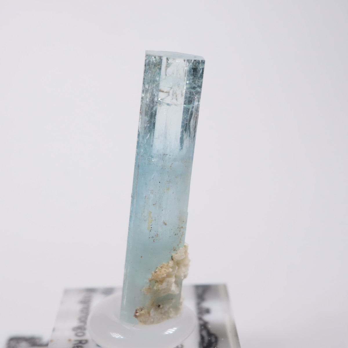 �����󥴹ۻ� �������ޥ��