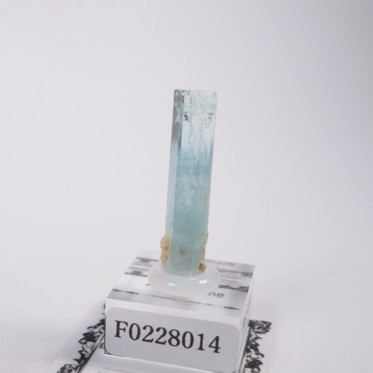 �����󥴹ۻ� �������ޥ��