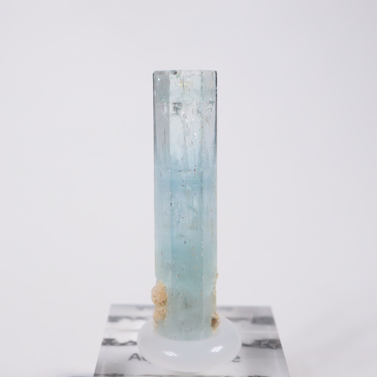 �����󥴹ۻ� �������ޥ��