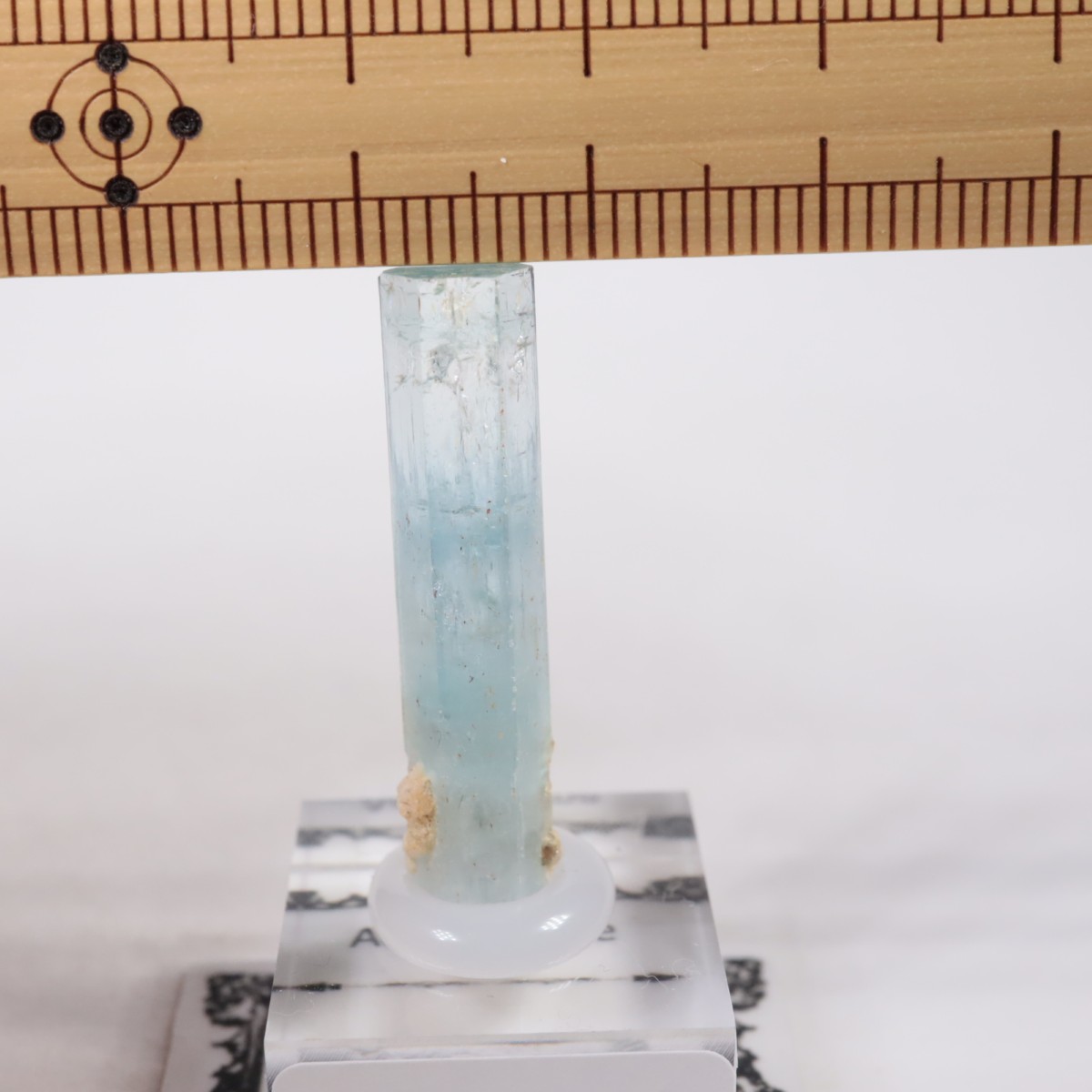 �����󥴹ۻ� �������ޥ��