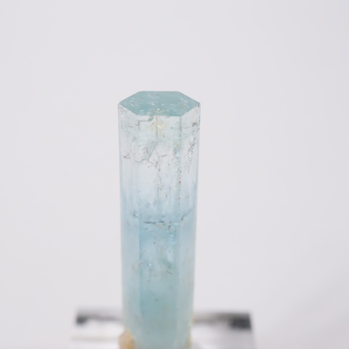 �����󥴹ۻ� �������ޥ��