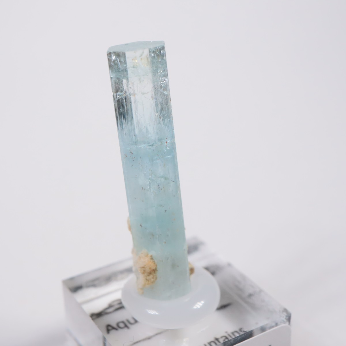 �����󥴹ۻ� �������ޥ��