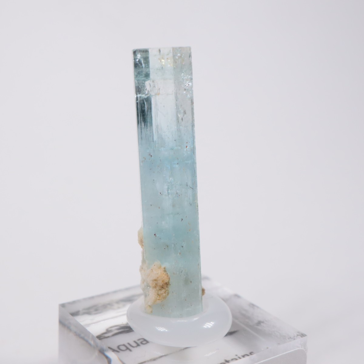 �����󥴹ۻ� �������ޥ��