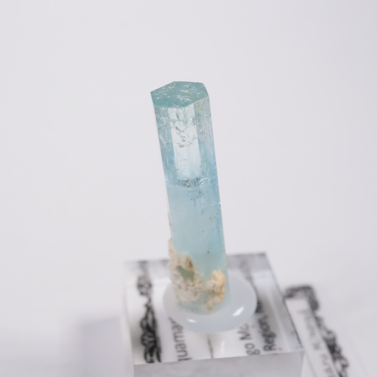 �����󥴹ۻ� �������ޥ��