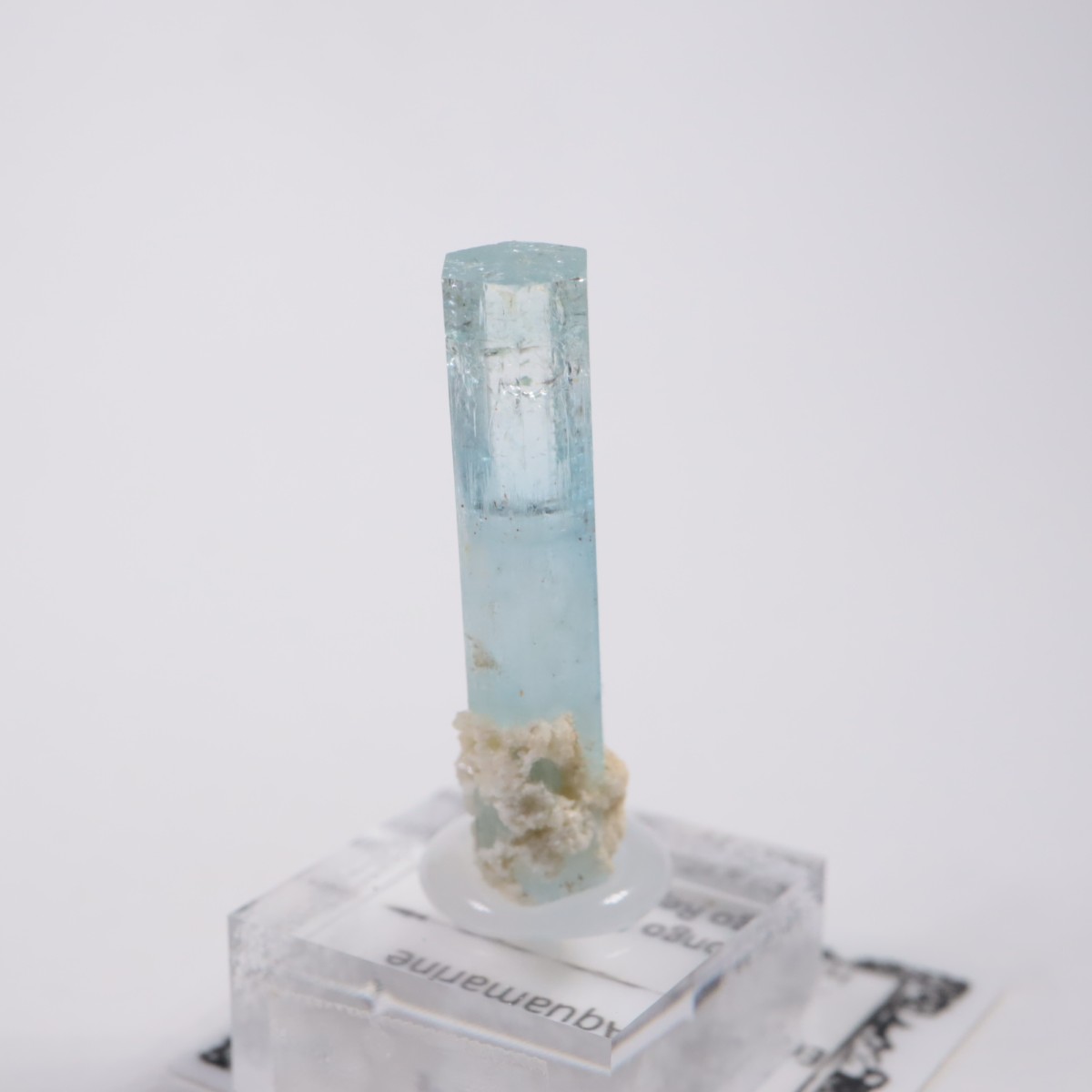 �����󥴹ۻ� �������ޥ��