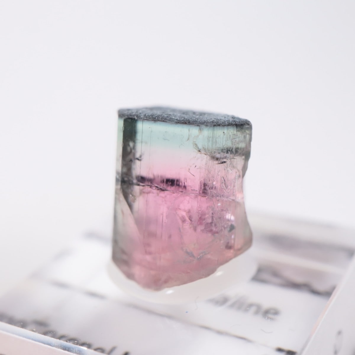 Coronel Murta�� �ȥ�ޥ��