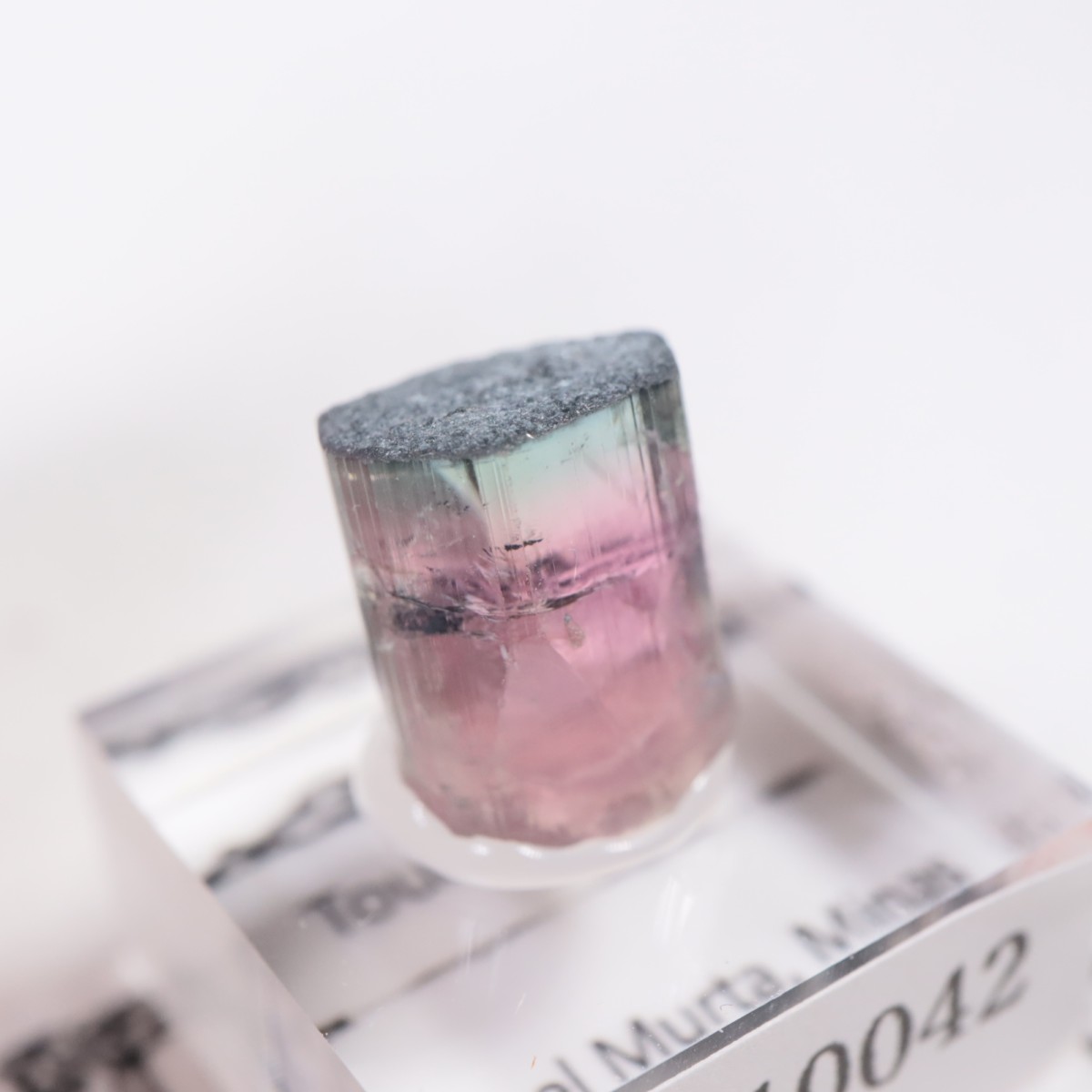 Coronel Murta�� �ȥ�ޥ��