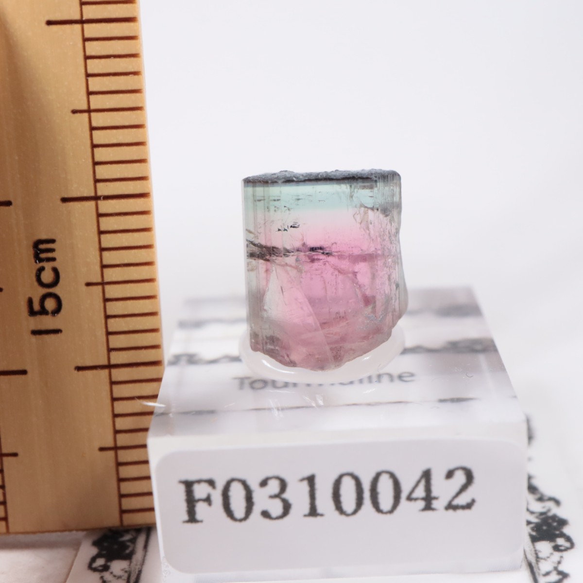 Coronel Murta�� �ȥ�ޥ��