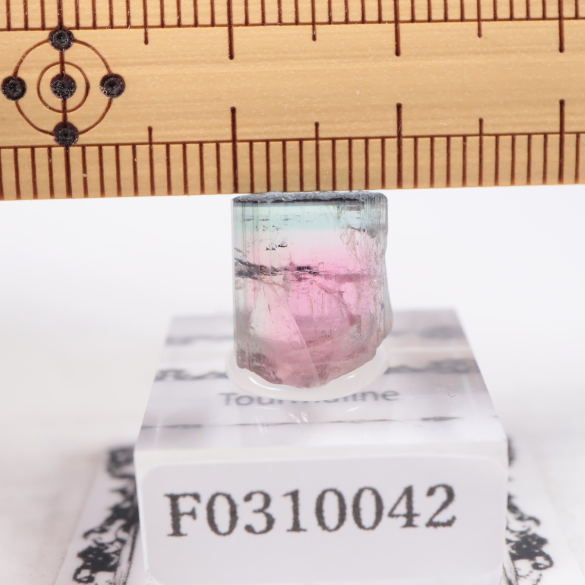 Coronel Murta�� �ȥ�ޥ��