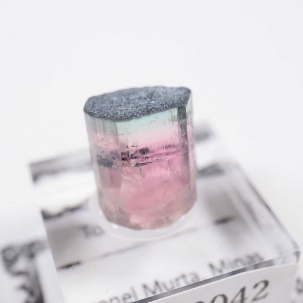 Coronel Murta�� �ȥ�ޥ��