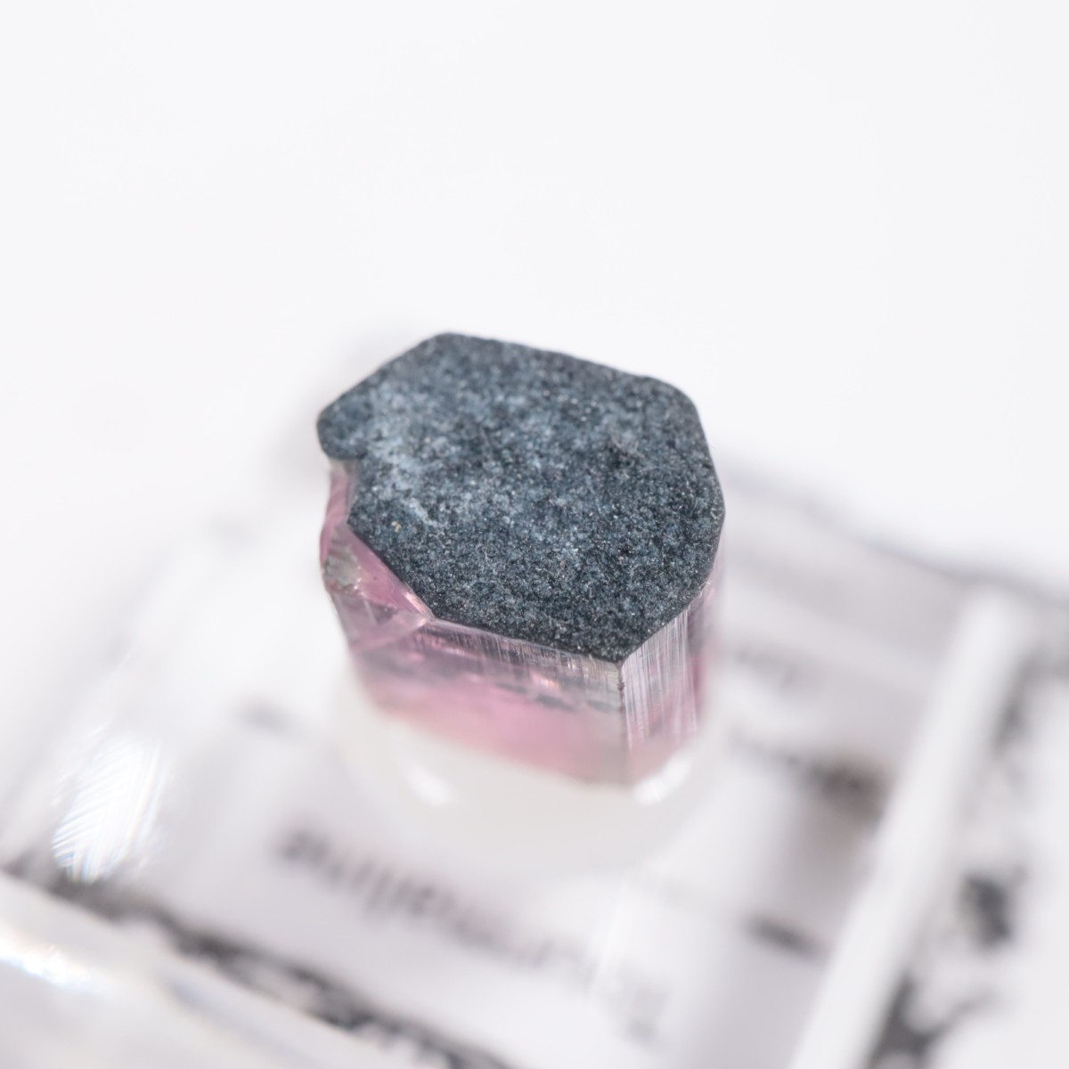 Coronel Murta�� �ȥ�ޥ��