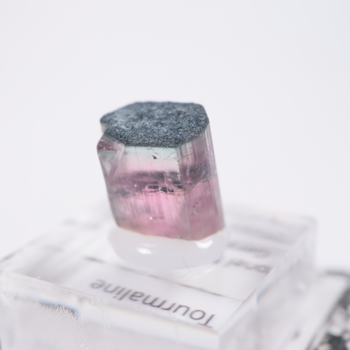 Coronel Murta�� �ȥ�ޥ��