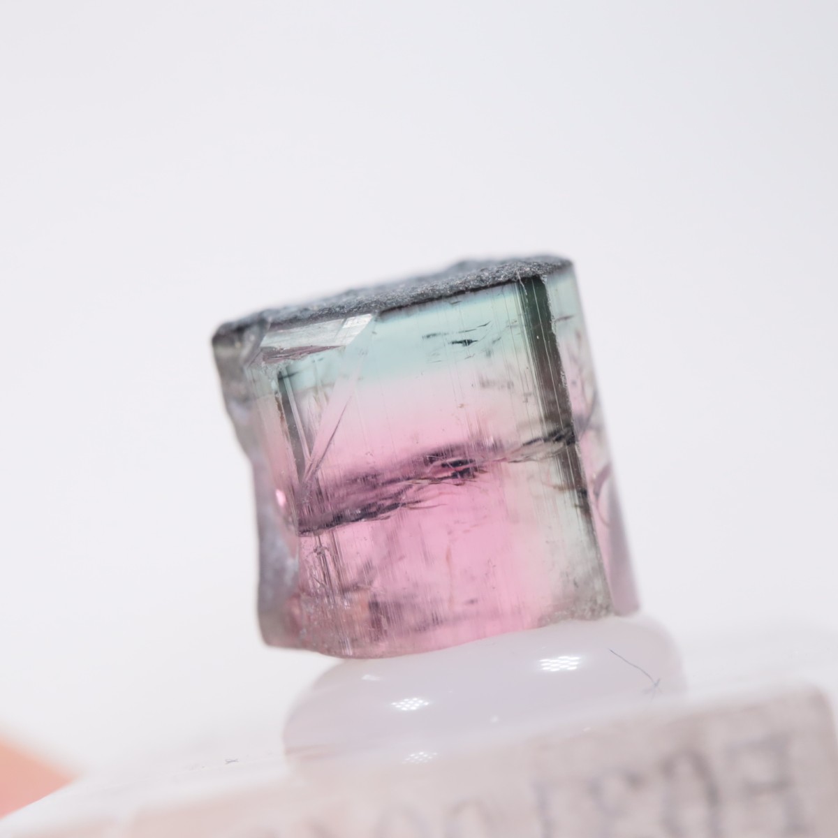 Coronel Murta�� �ȥ�ޥ��