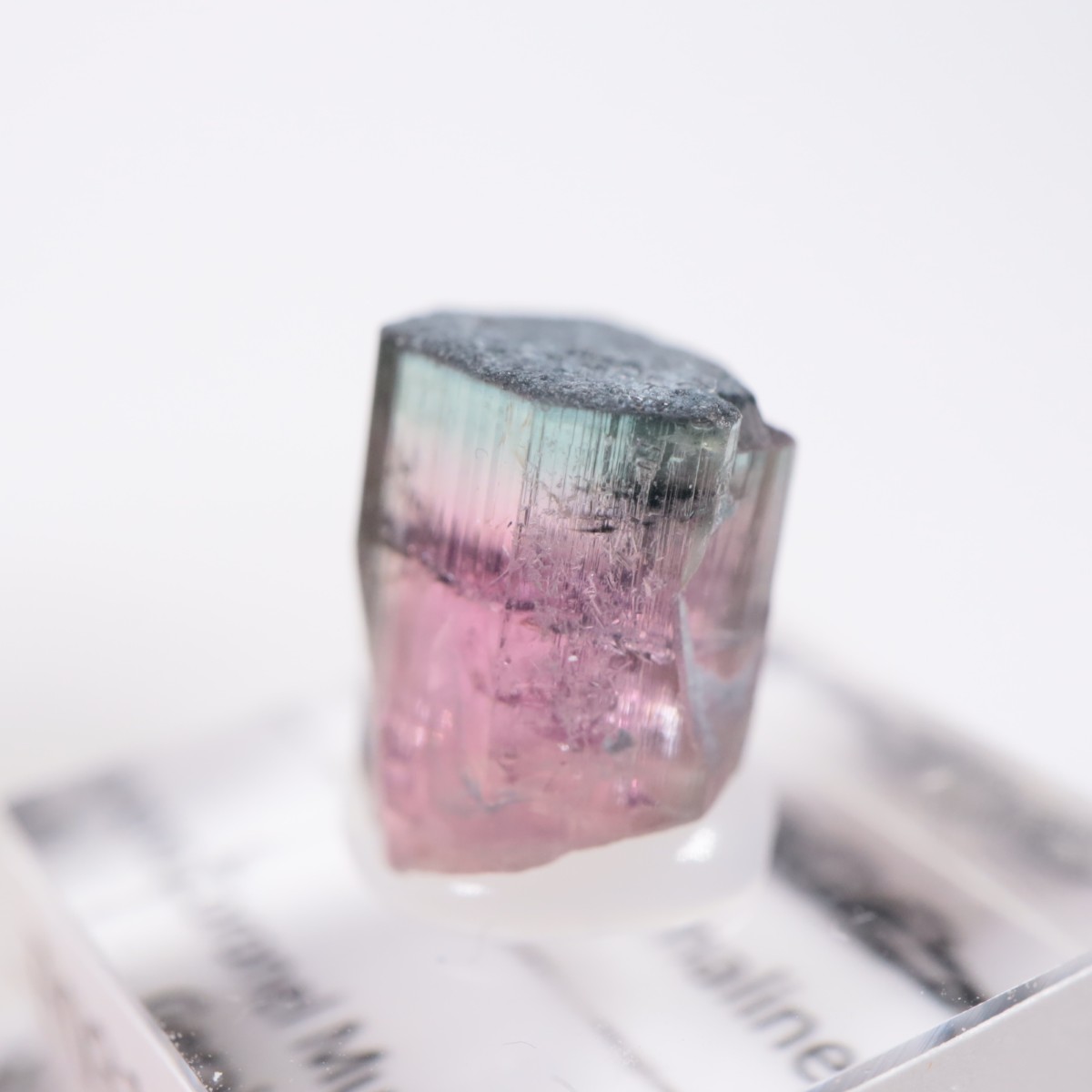 Coronel Murta�� �ȥ�ޥ��