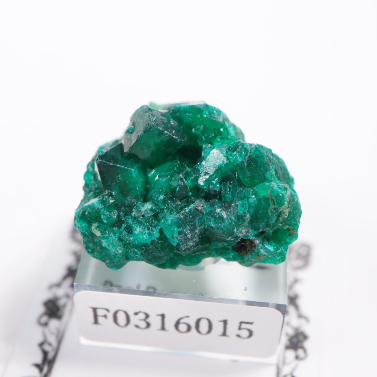 ���󥴻� �������ץơ���