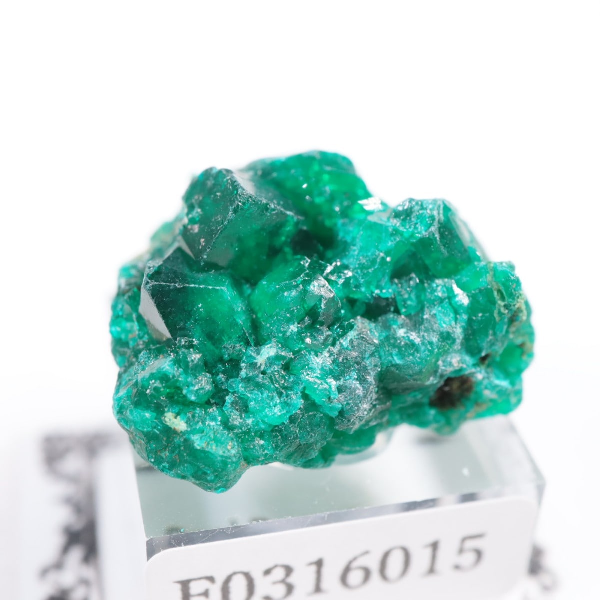 ���󥴻� �������ץơ���