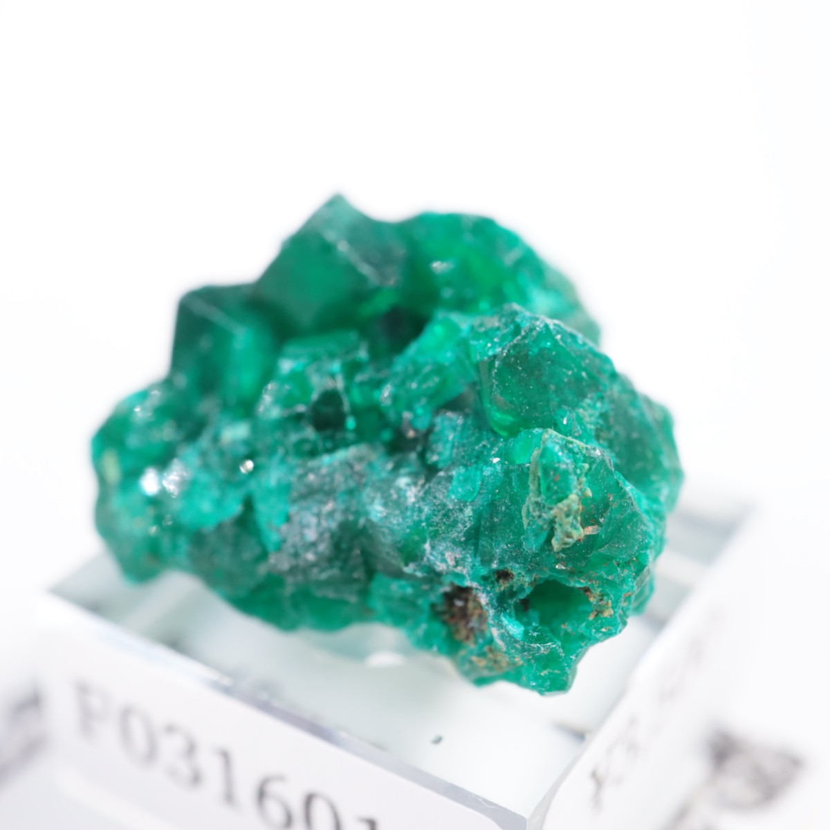 ���󥴻� �������ץơ���