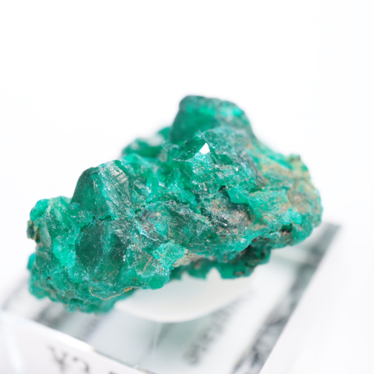 ���󥴻� �������ץơ���