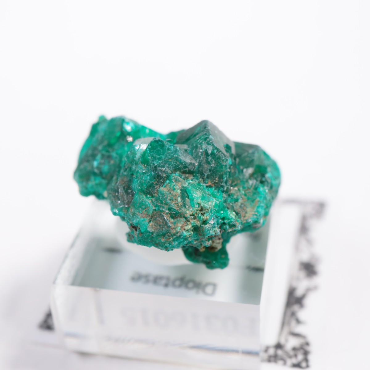 ���󥴻� �������ץơ���