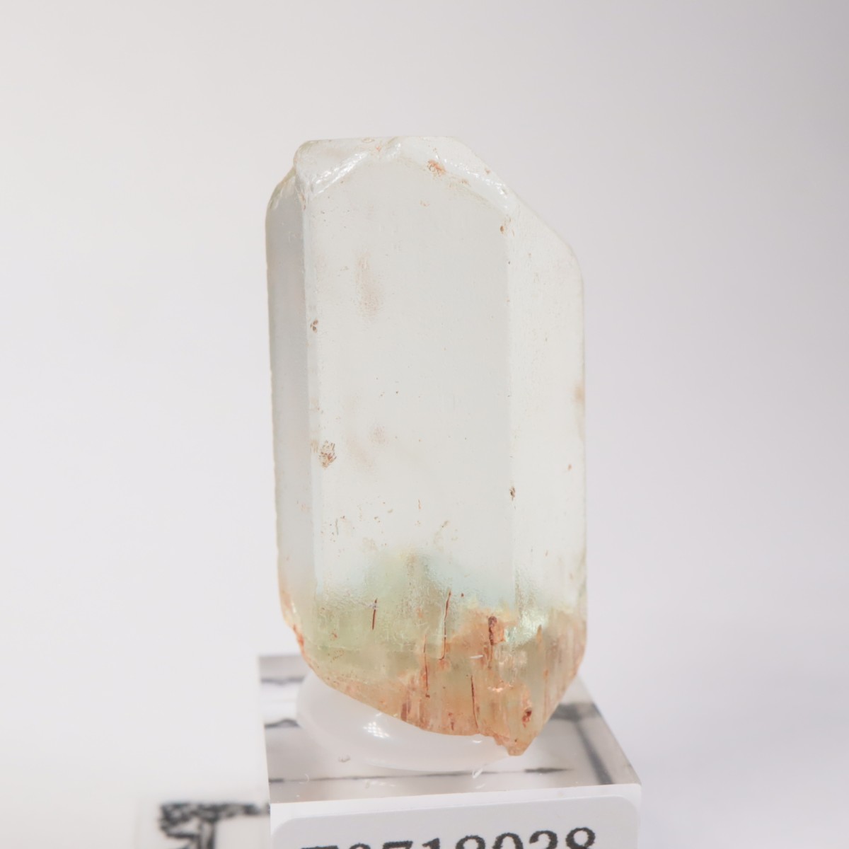 �֥饸�뻺���٥��