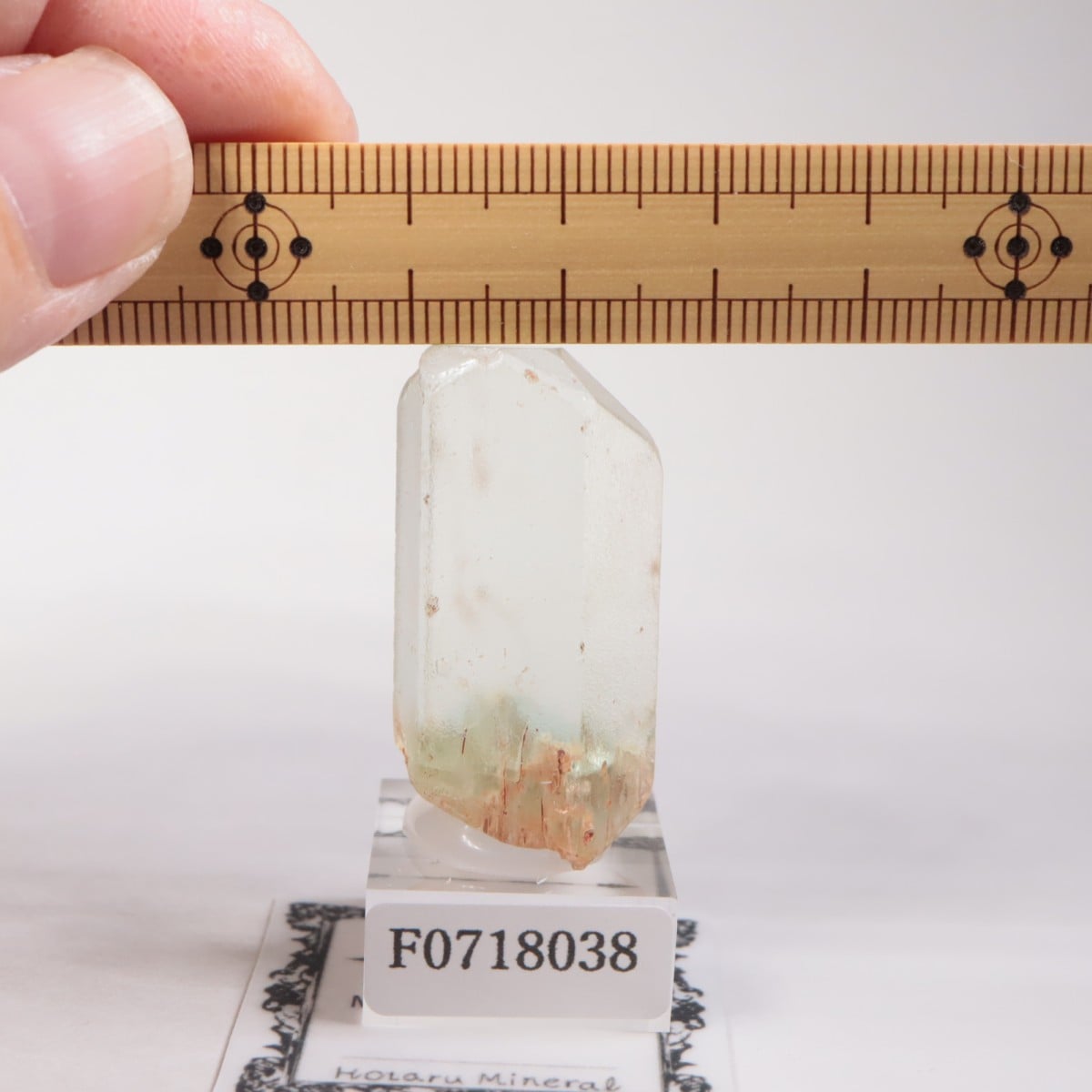 �֥饸�뻺���٥��