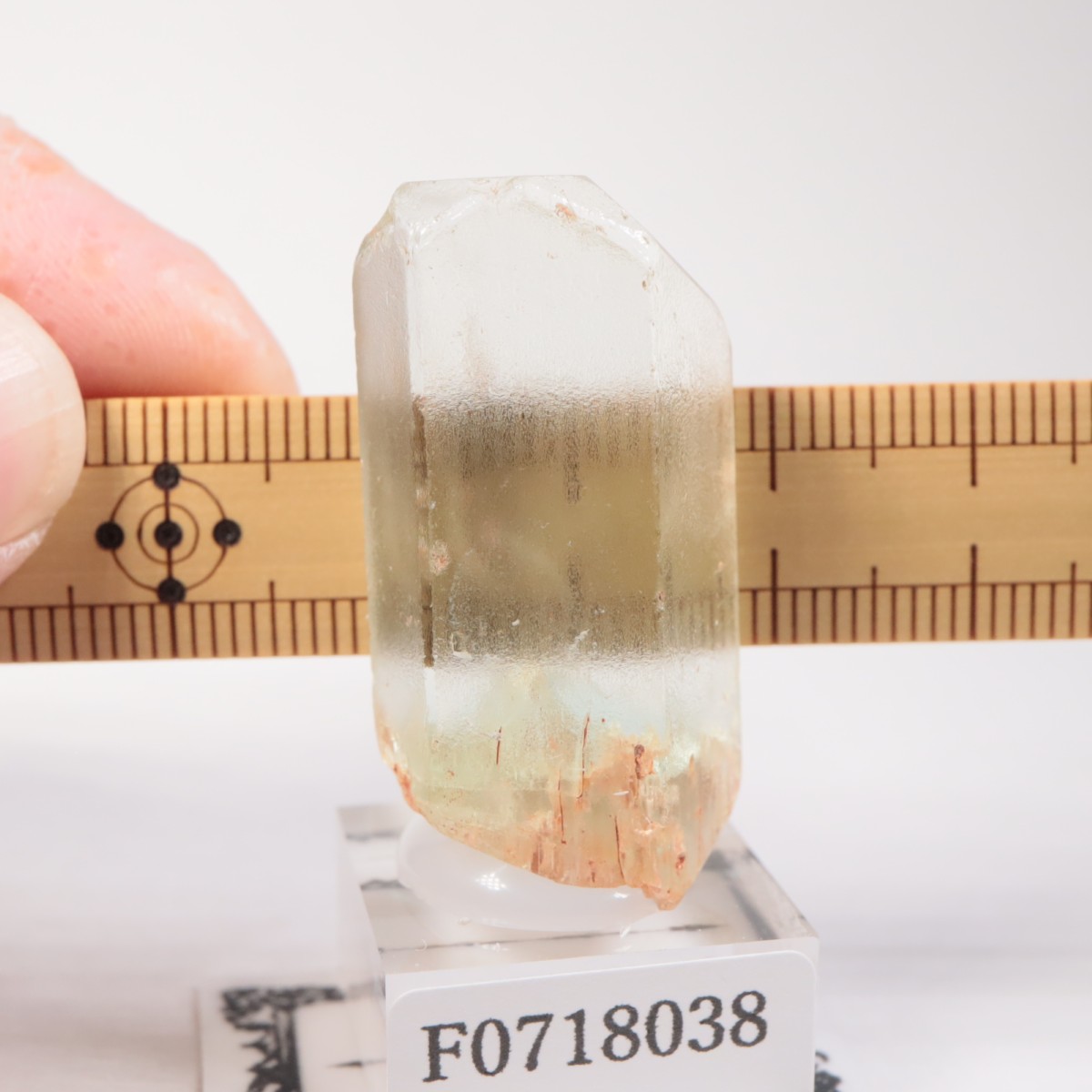 �֥饸�뻺���٥��