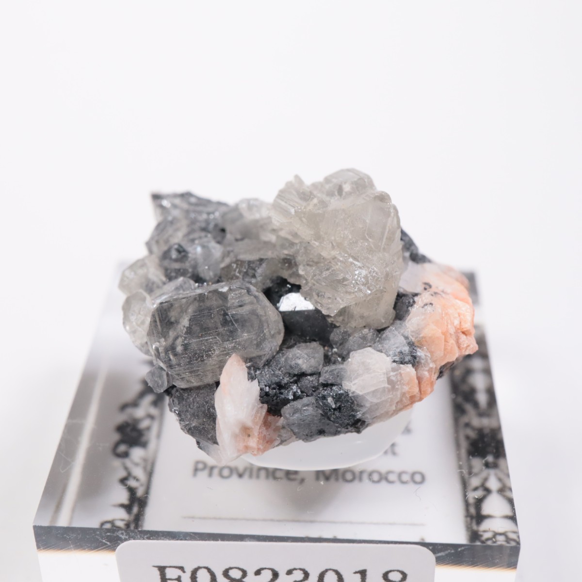 ����å��� ���륵����