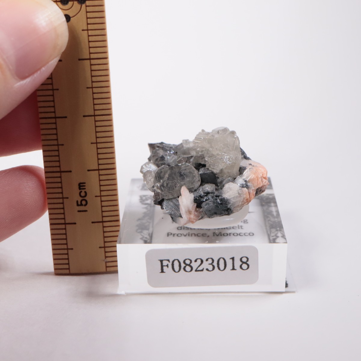 ����å��� ���륵����