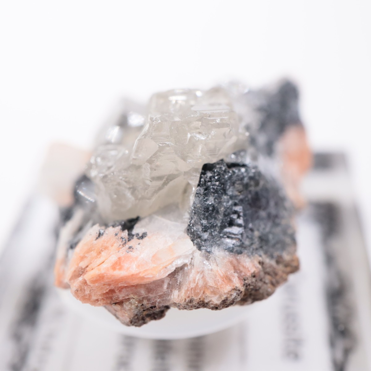 ����å��� ���륵����