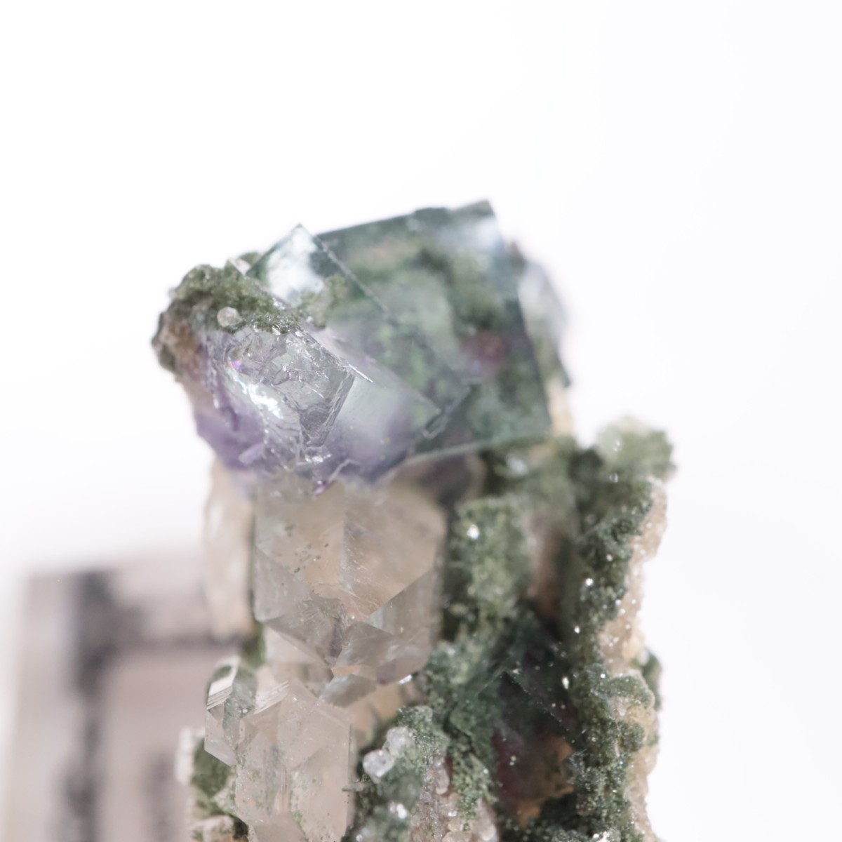 ヤオガンシャン鉱山 フローライト | 鉱物標本,ハ行,フローライト/蛍石