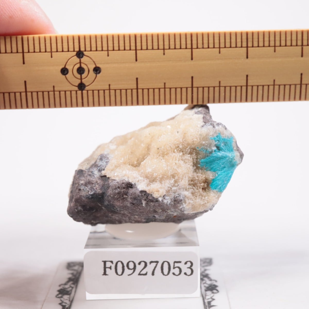 ����ɻ� ���Х󥵥���