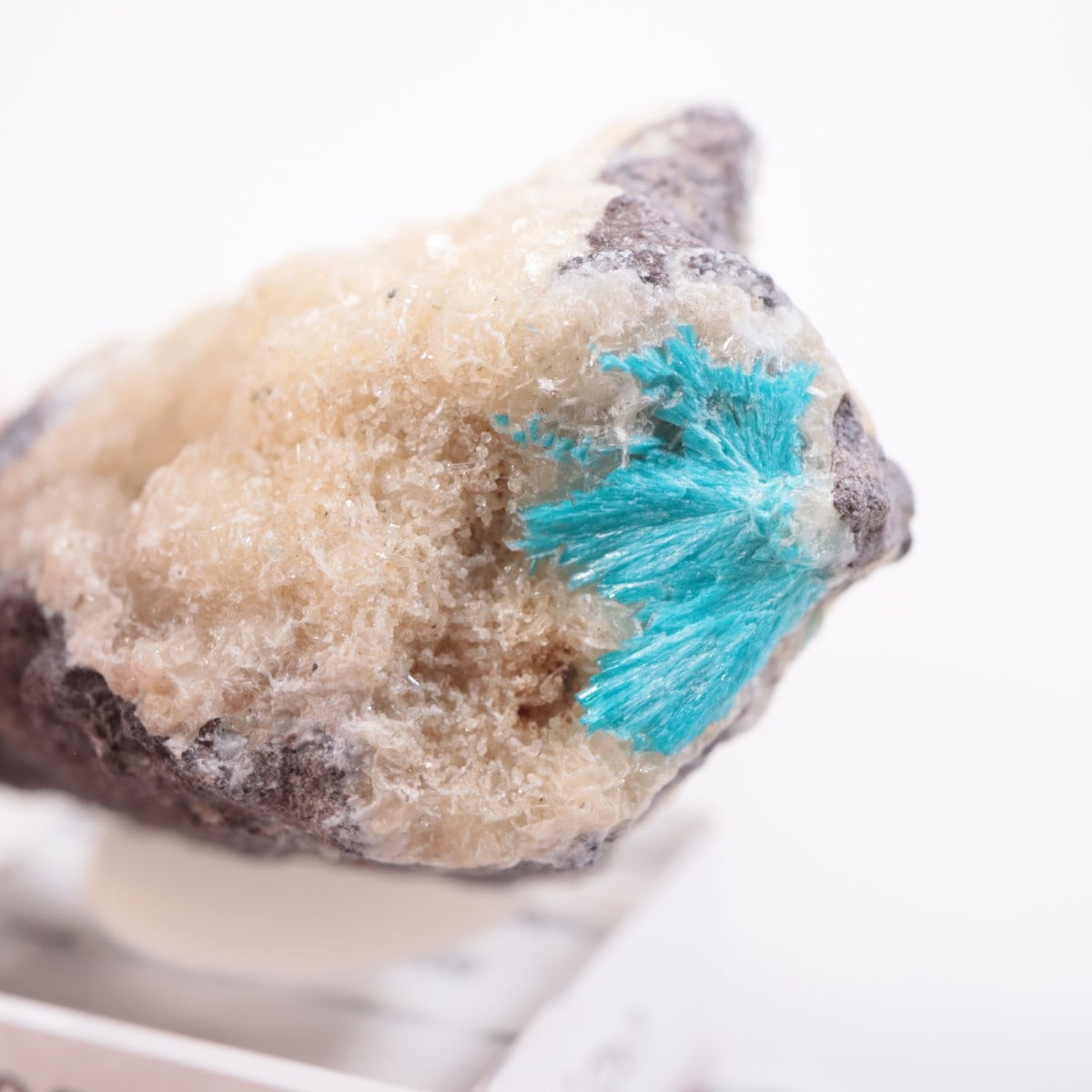 ����ɻ� ���Х󥵥���