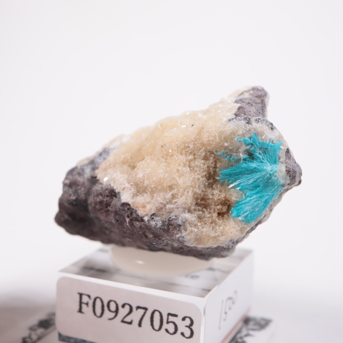 ����ɻ� ���Х󥵥���