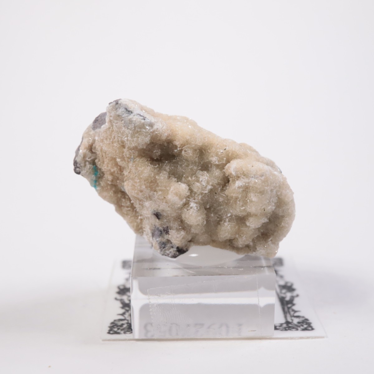 ����ɻ� ���Х󥵥���