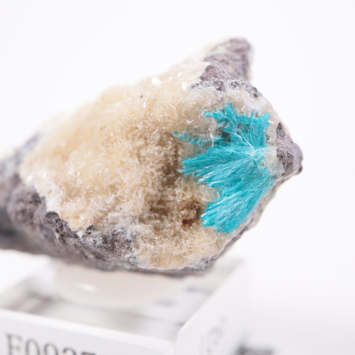 ����ɻ� ���Х󥵥���