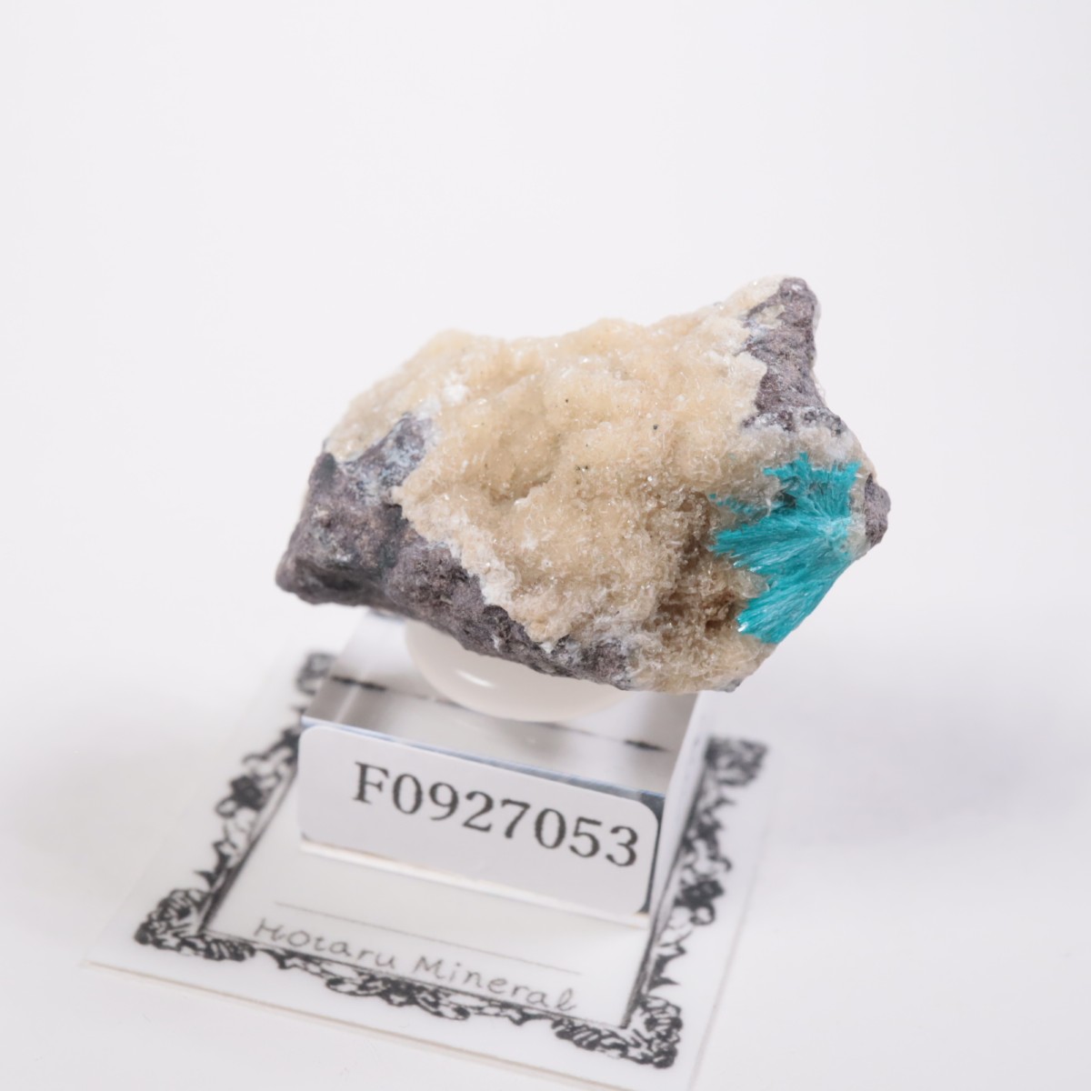 ����ɻ� ���Х󥵥���