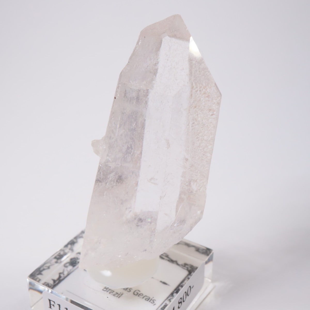 �֥饸�뻺 �徽